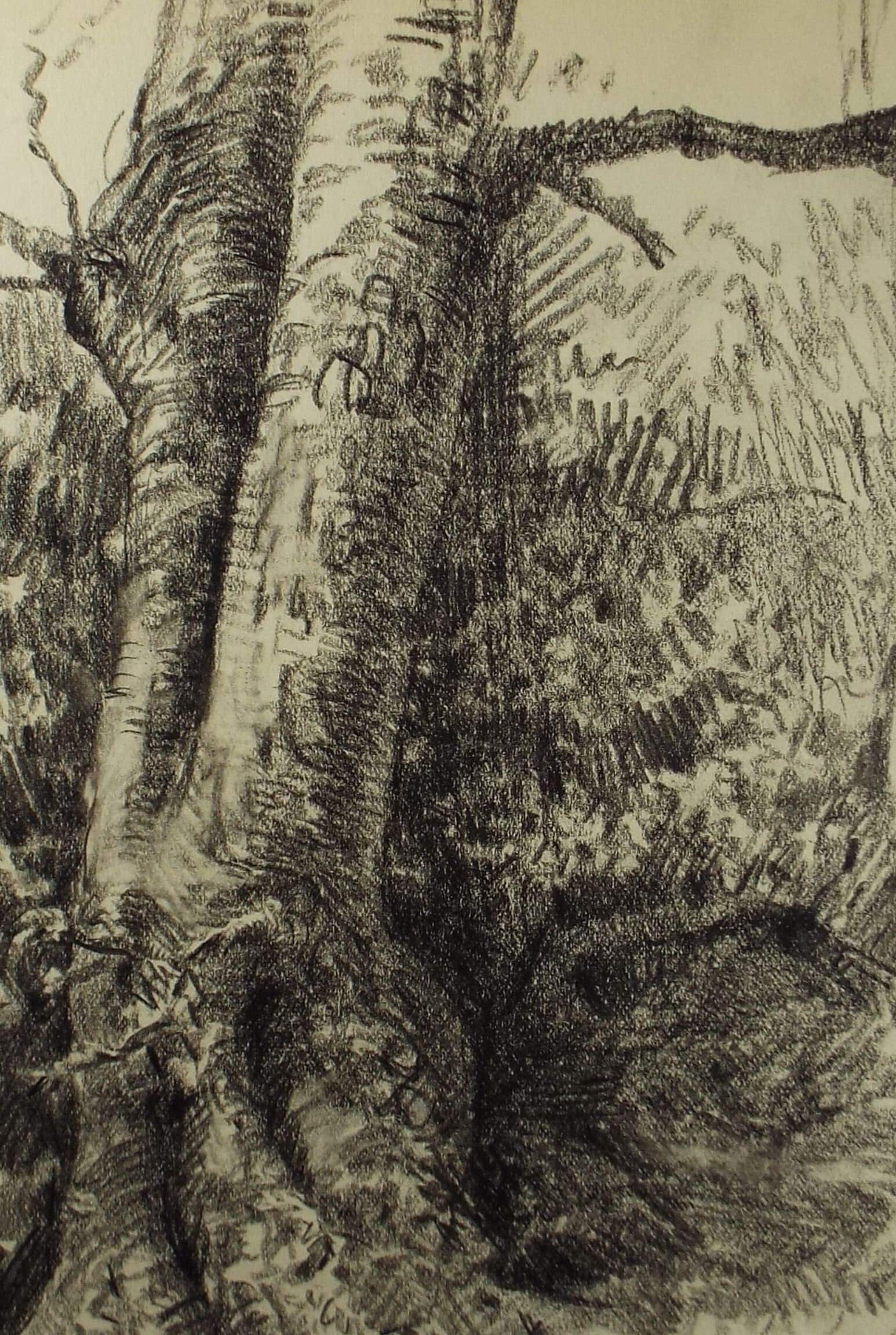 自作絵画 鉛筆画 過去絵 2025.2 A4ケント紙 鉛筆画 #pencildrawing