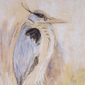 May include: A pastel drawing of a heron in shades of blue, gray, and white, with a black eye and beak. The bird is depicted in profile, with a detailed rendering of its feathers and a soft, textured background.