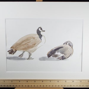 Original Watercolour, 'Study Canada Geese', George Godfrey, circa 1970's zdjęcie 3