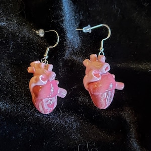 Realistic Human Heart Earrings
