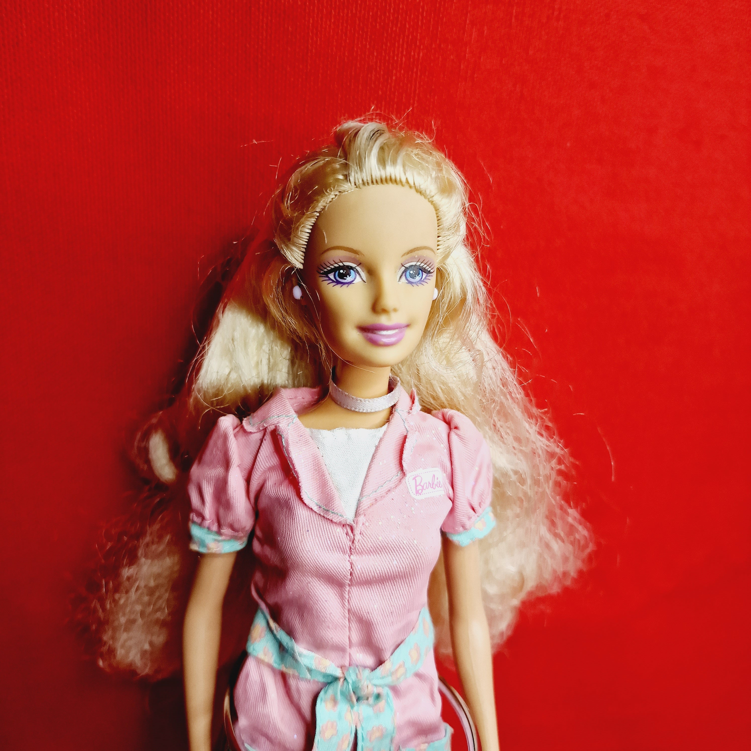 Barbie veterinaria 09