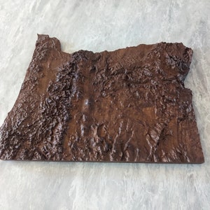Zwarte walnoot topografische reliëfkaart van Oregon