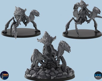 Ankheg | 3 Poses |  3D Printed Tabletop Resin Miniatures | D&D TTRPG