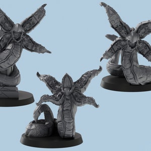 Beak Worm | 3 Poses |  3D Printed Tabletop Resin Miniatures | D&D TTRPG