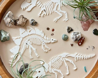 Prehistoric Fossils for Sensory Play | Oobleck | Muddy Play | Mud Kitchen | Playdough | Kinetic | Dig Play | Digging | Dinosaurs | Dinosaurs