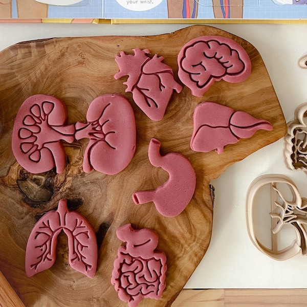 Mini Human Anatomy Bio Dough Cutters, Cookie Cutters, Playdough Activity, Sensory Activity, Homeschool, Preschool, Playroom, Sensory Bin