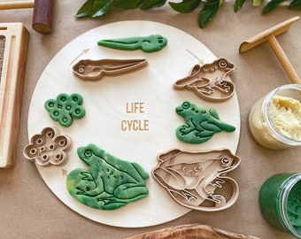 Frog Life Cycle Bio Dough Cutter set of 4, Playdough Cutter | Cookie Cutter | Clay Cutter | Homeschool | | Sensory Play | Biodegradable |