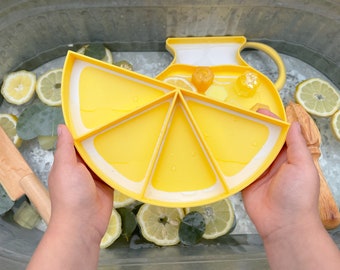 Lemon Bio Trays for Sensory Play, Sensory Tray, Outdoor Play, Sensory Activity, Mud Kitchen, Messy Play, Homeschool, Preschool, Playroom