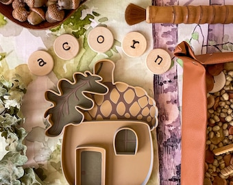 Plateau sensoriel bio Acorn Cottage | Activités sensorielles | Salle de jeux | École à la maison | École maternelle | Salle de classe | Cuisine de boue | Inspiré par Montessori