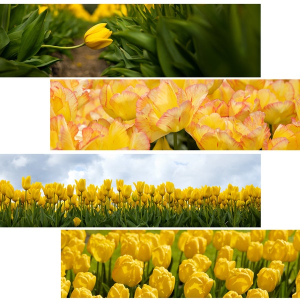 Banierbloemen 4 stuks 1x4 Gele tulpen