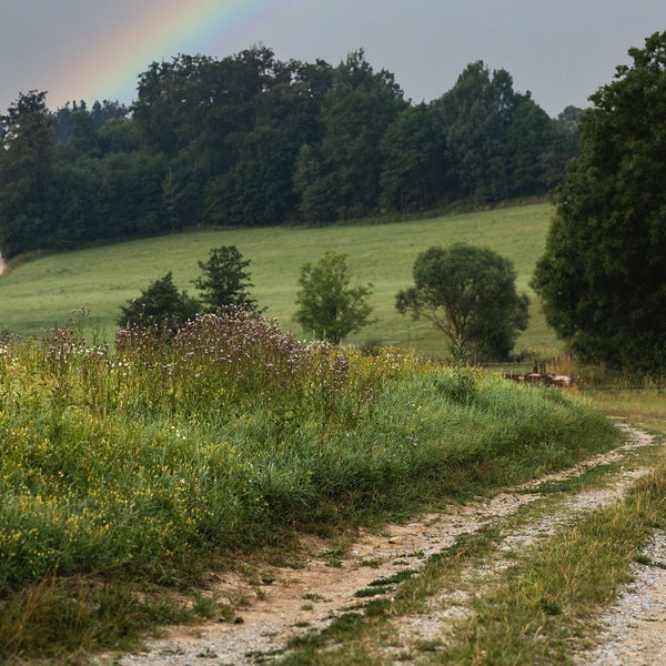 Digital Photo Download Rural road Wall art print rainbow Landscape Home Decor Photography