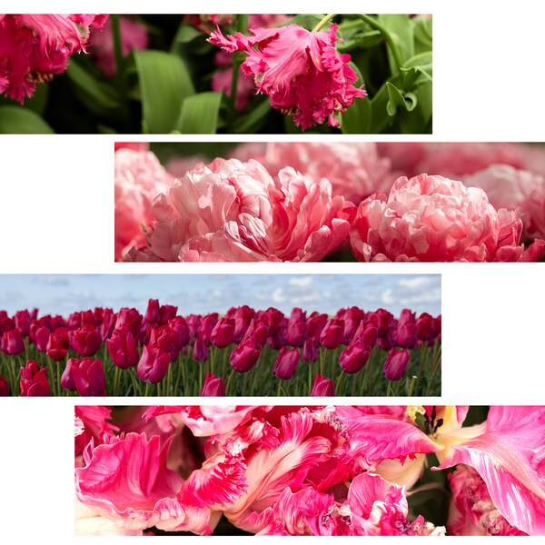 Banner 4 stuks rode bloemen 4x1 digitaal Hoge kwaliteit