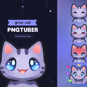Grey Cat PNGtuber Model | Stream Mascot 5 Expressions & 14 Files for OBS and Discord | Voice Reactive | Twitch Streamer Vtuber V-tuber