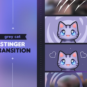 Transición de aguijón de gato gris // Linda transición de escena de Kitty OBS / Streamer de Vtuber de Twitch Youtube