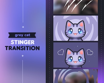Grey Cat Stinger Transition || Cute Kitty OBS Scene Transition | Twitch Youtube Vtuber Streamer