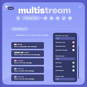 May include: A digital interface with the word "multistream" in white. The interface displays options for customizing colors and tags for roles, including subscriber, mod, and VIP. The interface is primarily blue and purple.