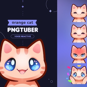Orange Cat PNGtuber Model | Stream Mascot 5 Expressions & 14 Files for OBS and Discord | Voice Reactive | Twitch Streamer Vtuber V-tuber