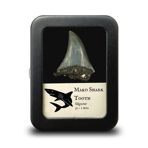 Mako Shark - Etsy