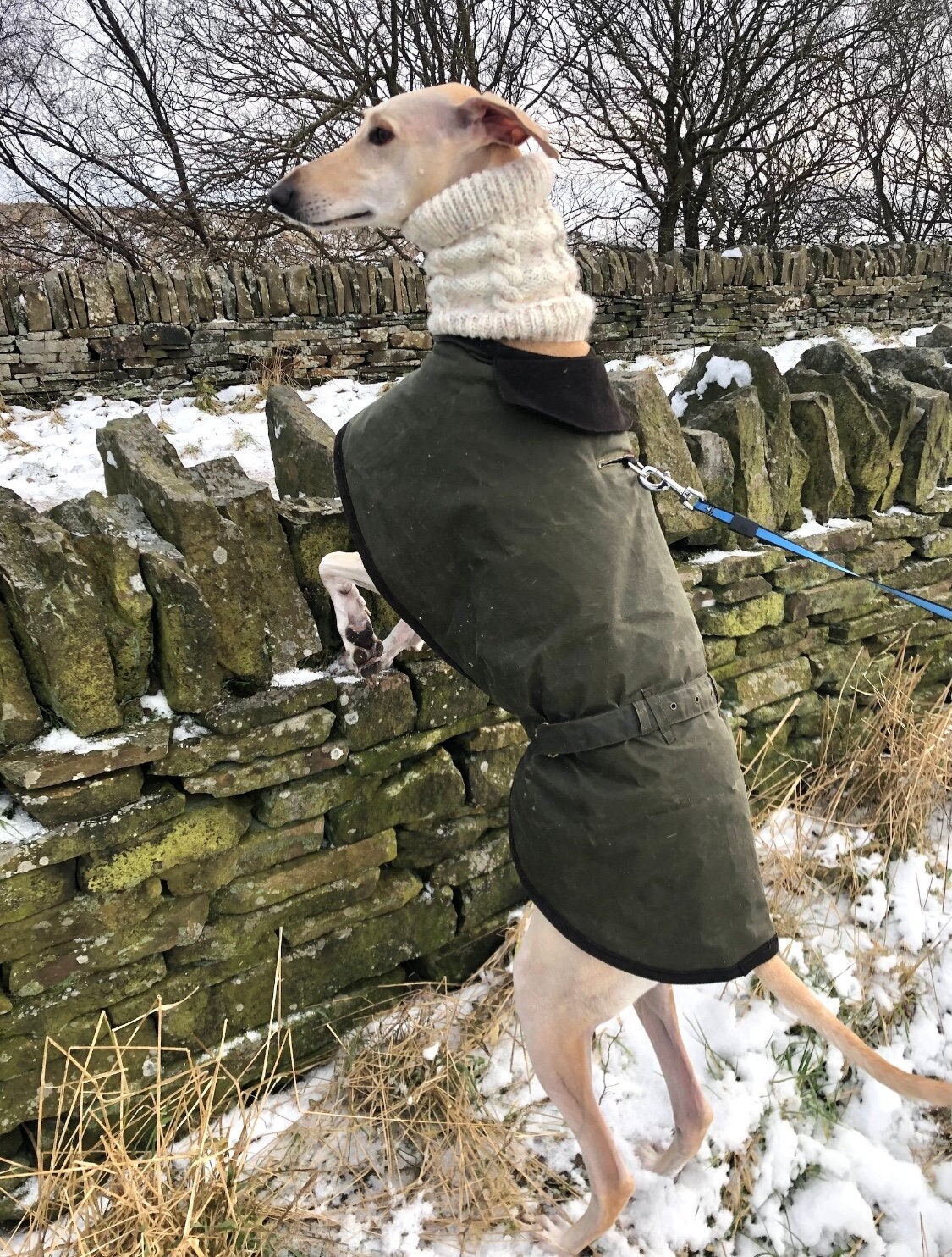 Dogs wax jackets best sale