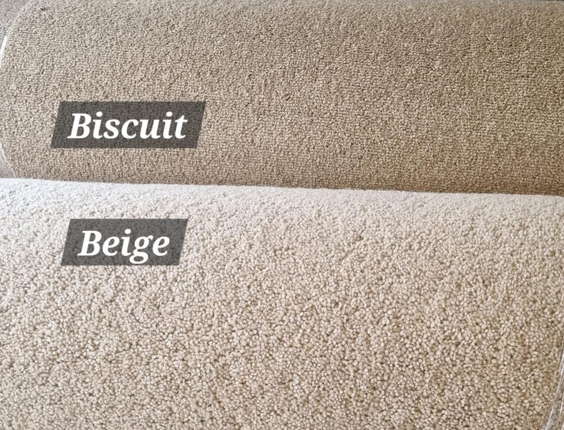 Puede incluir: Primer plano de dos muestras de alfombra. La muestra superior es de color galleta y la muestra inferior es beige. Ambas muestras tienen un pelo texturizado y en bucle. Los textos "Biscuit" y "Beige" se muestran en las muestras.