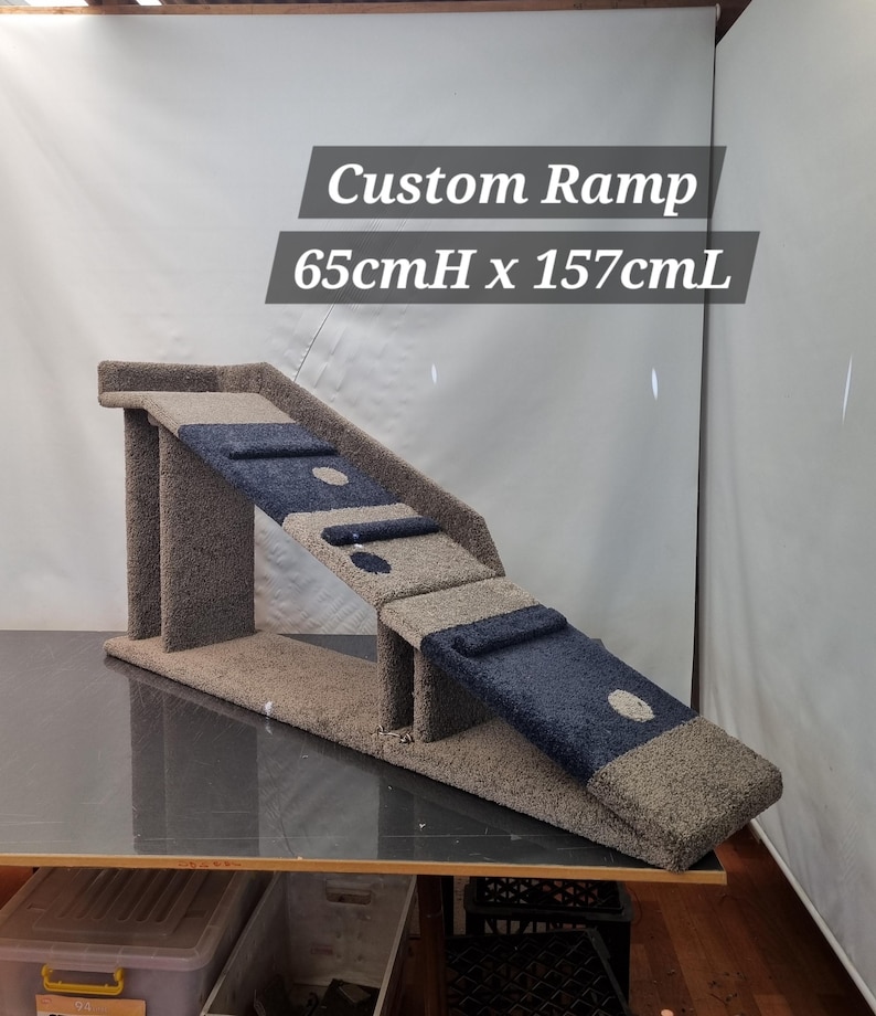 Puede incluir: Rampa personalizada, de 65 cm de alto y 157 cm de largo, con un dise&ntilde;o bicolor. La rampa presenta una base y escalones de color beige con detalles en azul marino y recortes circulares. El texto "Custom Ramp" y las dimensiones son visibles.