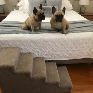 May include: Two French Bulldogs sitting on a white bed with a grey throw blanket. A set of beige pet stairs with four steps is in the foreground.