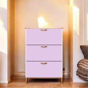 Custom Shoe Cabinet Etsy