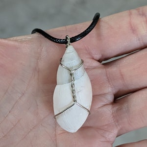 May include: White seashell pendant wrapped in silver-colored wire, suspended from a black cord necklace. The shell has a spiral shape and is secured with a twisted wire design. The necklace is displayed against a neutral background.