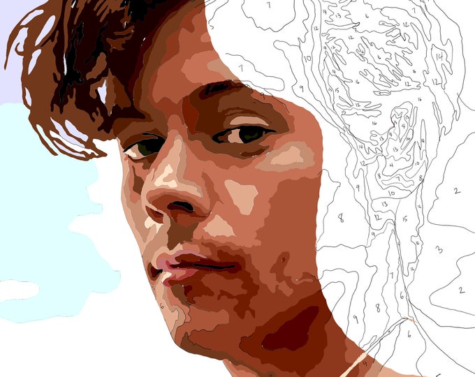 Harry Styles Paint by Numbers Instant Download Printable Etsy