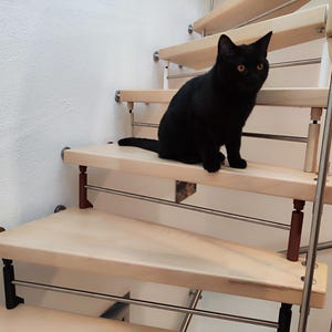 Treppenschutzgitter zum Klemmen, offene Treppe sicher machen, Baurechtsleiste, offene Treppenstufen kindersicher machen, hundesicher machen