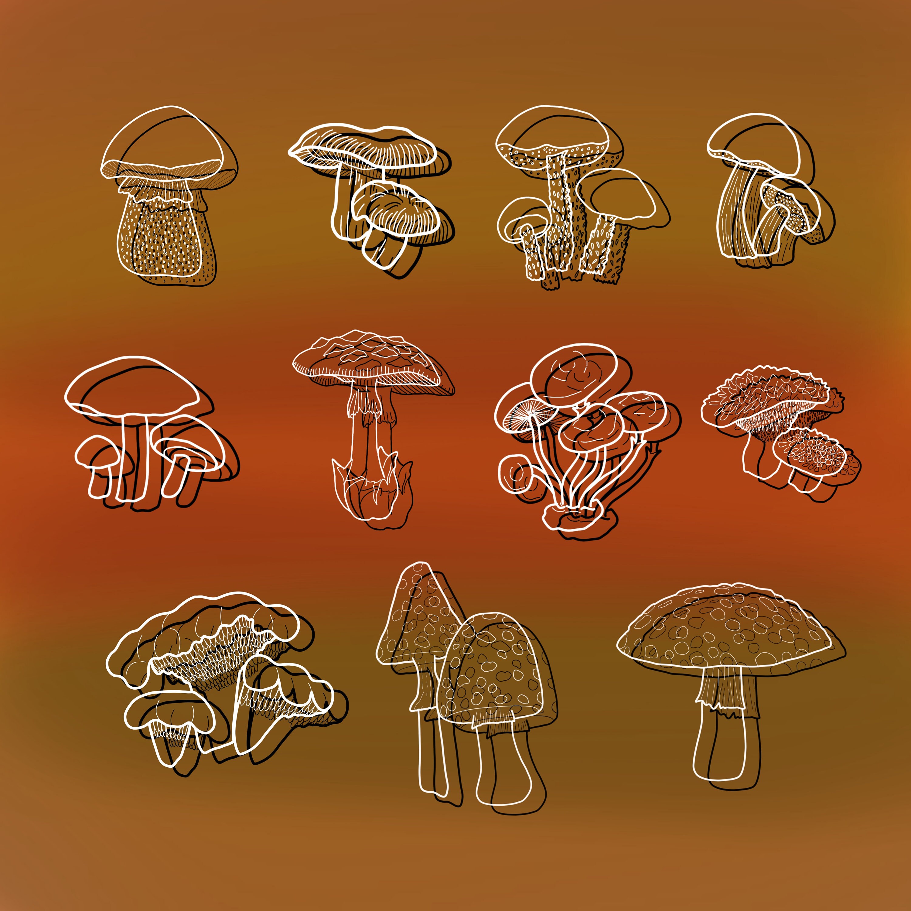 Hand Drawn Mushroom Procreate Stamp Brush Set: Halloween Digital ...