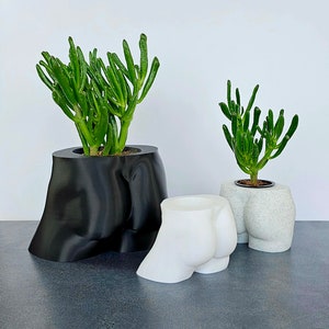 Könnte beinhalten: Drei Keramik-Blumentöpfe in Form von menschlichen Figuren. Die Töpfe sind in Schwarz, Weiß und Grau. Der schwarze Topf hat eine Sukkulente, die darin wächst. Die weißen und grauen Töpfe haben Sukkulenten, die darin wachsen.