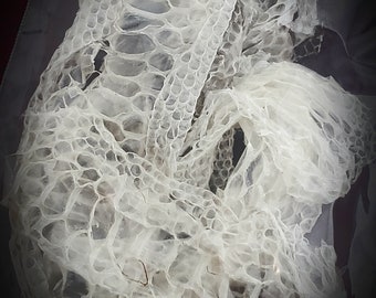 Snake Skin