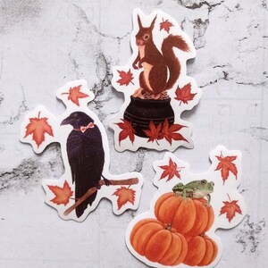 Autumn animals sticker / illustration, automne cosy, animal, nature