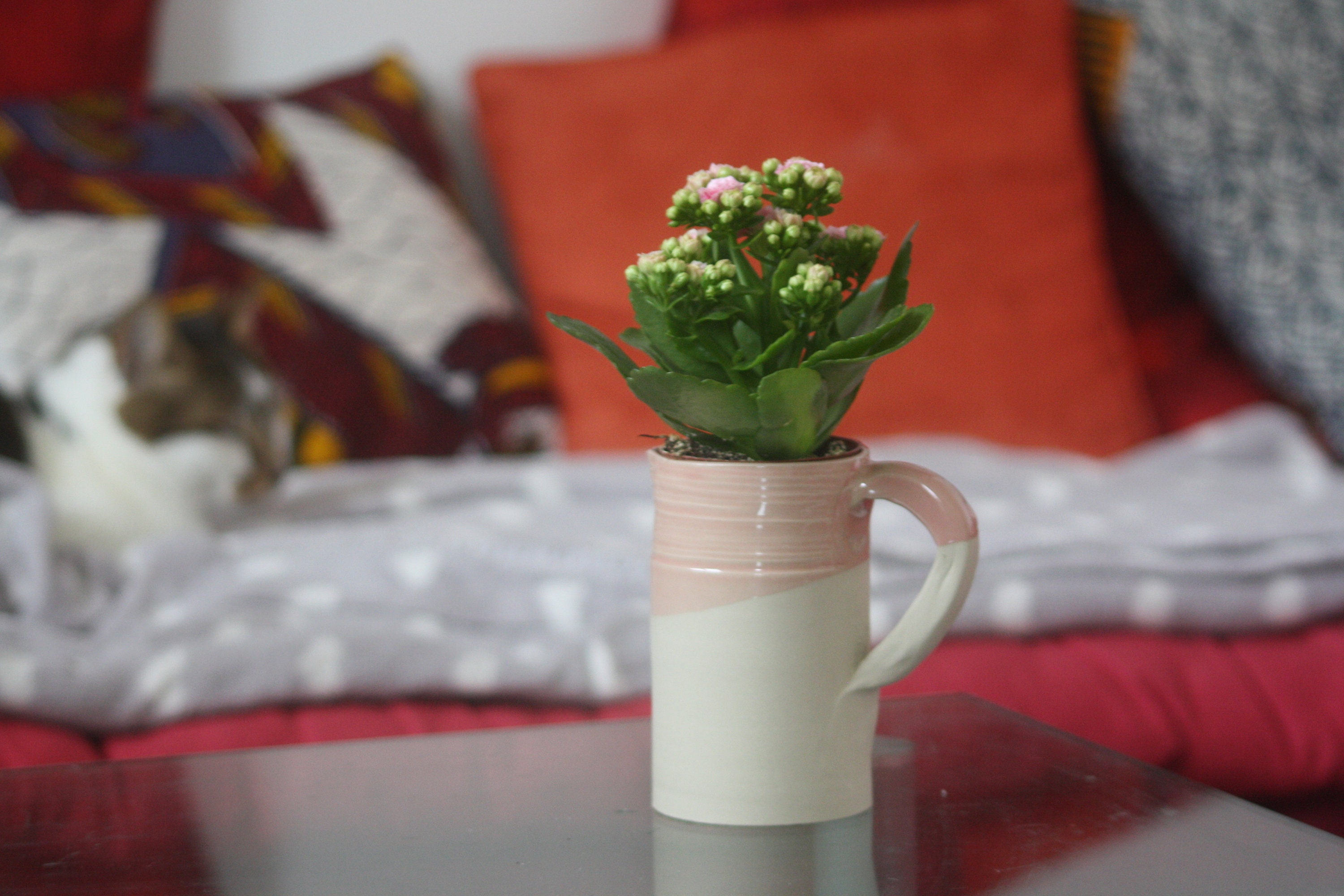 Petite Carafe en Grès Blanc Émaillée Rose