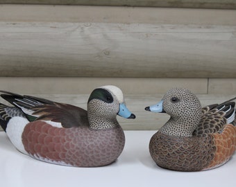 American Widgeon Pair