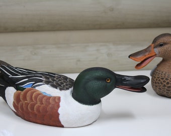 SOLD OUT - Northern Shoveler (Spoonbill) Pair