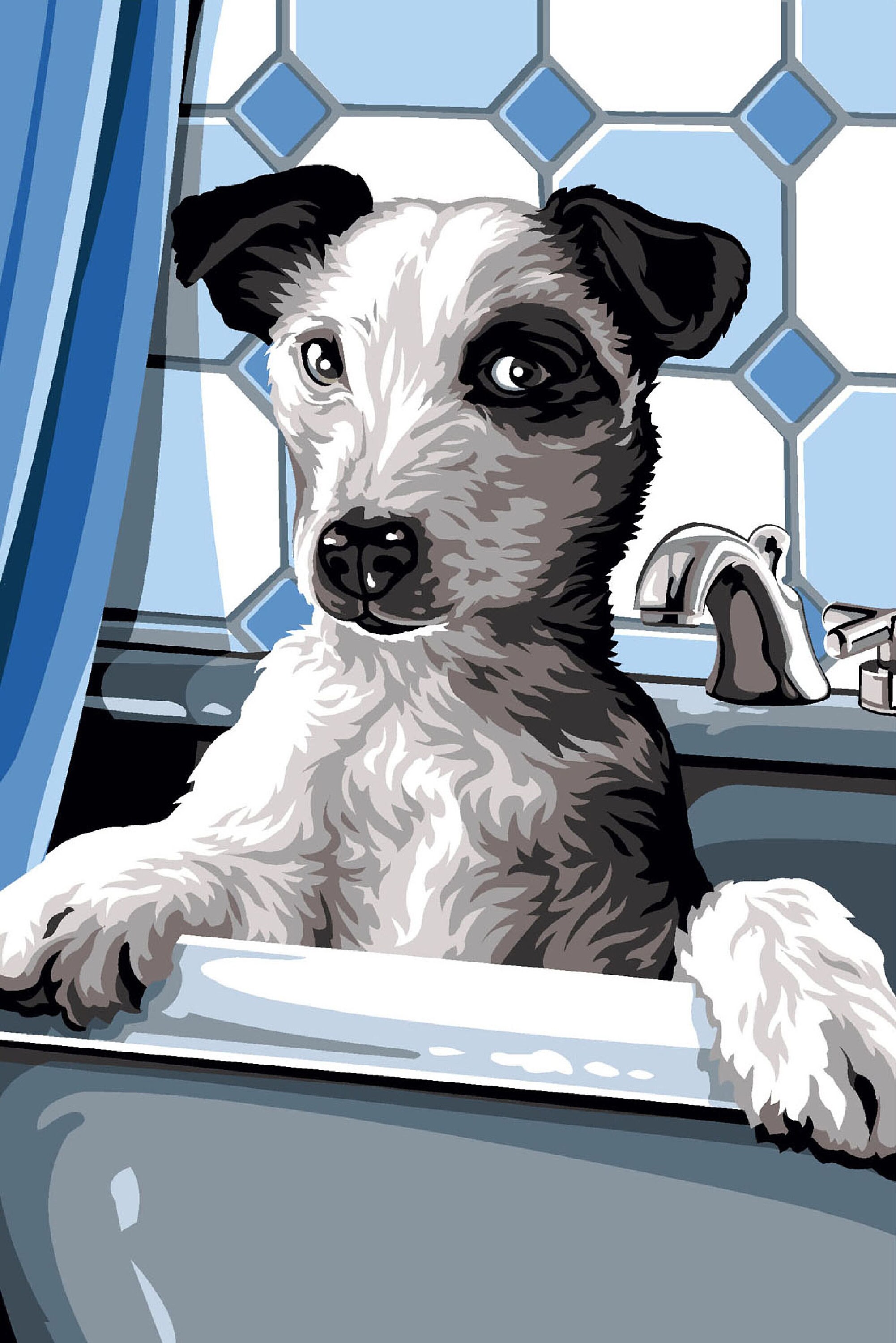 Can You Bathe A Dog With Stitches