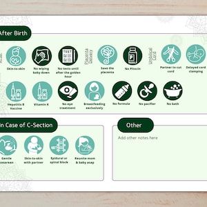 May include: A green and white infographic with the title "After Birth" and lists of recommendations for new parents. The infographic includes icons for skin-to-skin contact, breastfeeding, delayed cord clamping, and more.