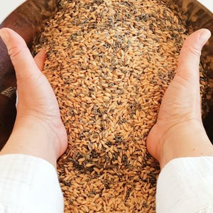 Puede incluir: Un cuenco de metal grande lleno de una mezcla de granos de trigo dorados y capullos de lavanda morados secos. Los granos y la lavanda están densamente compactados, creando una superficie texturizada de tonos bronceado claro y morado.