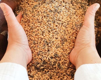 Lavender And Organic Wheat Blend: Filling For Heat And Cold Packs