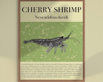 Cherry Shrimp Cottagecore Digital Download | Whimsical Aquatic Wall Art | Aesthetic Decor for Nature Lovers