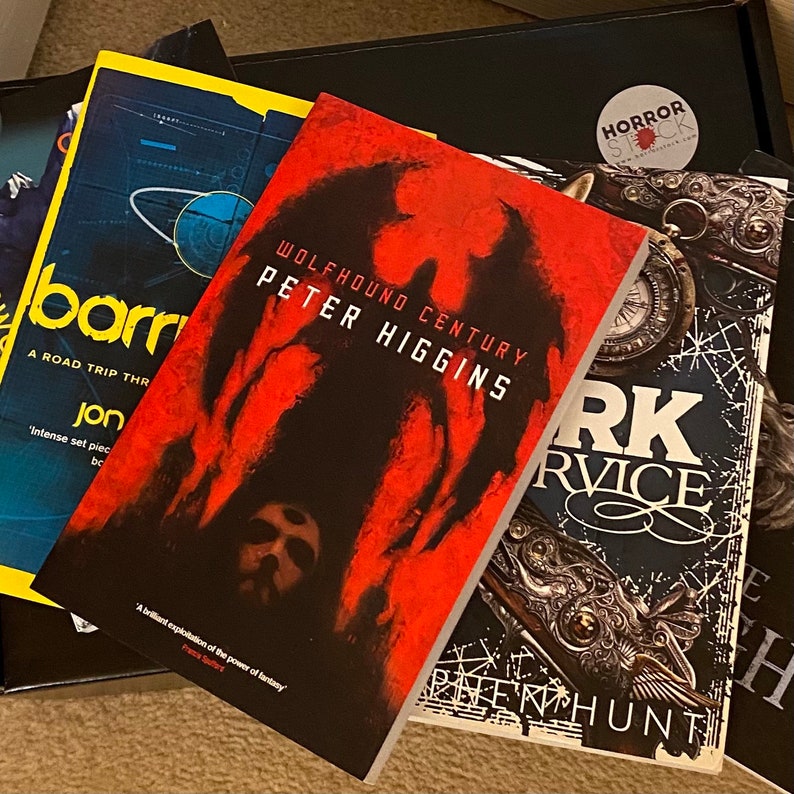 Fiction Book Mystery Box / Novel / Horror / Sci-Fi / Fantasy / Crime / Gift Box / Horror Book / Horror Gift / Gift Idea