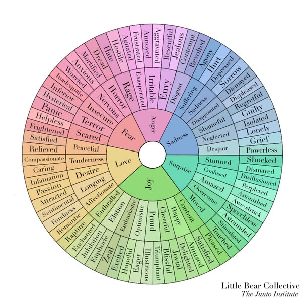 Feelings Wheel DOWNLOAD PDF - mental health tools - color wheel print - mental health awareness - therapy tools  - emotion wheel