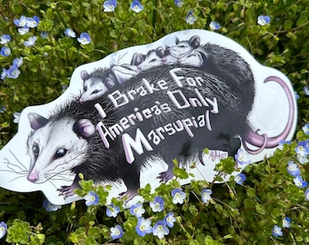 Opossum Marsupial Vinyl Bumper Sticker