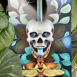 May include: A dark, artistic print featuring a skull with a crystal blade piercing its head. A large beetle is positioned below the skull, with a blue tongue extending from the skull's mouth. The background includes stylized leaves in shades of green and blue.