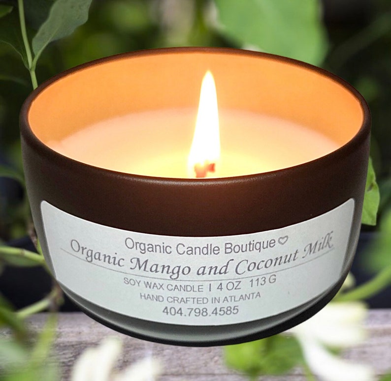 Organic Mango and Coconut Milk Soy Candle Fruit Candlesummer