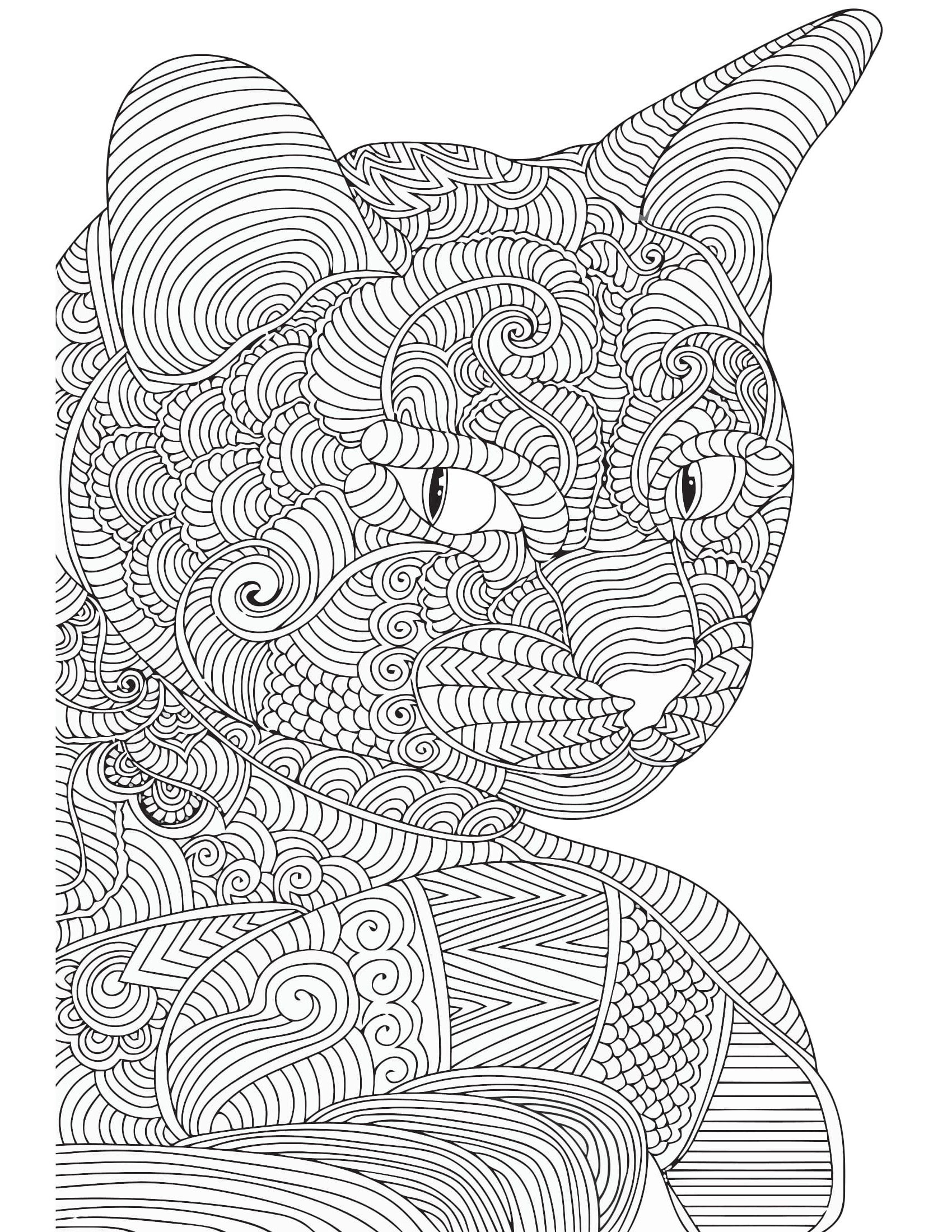39 Pages of Amazing Kids Coloring Pages - Etsy