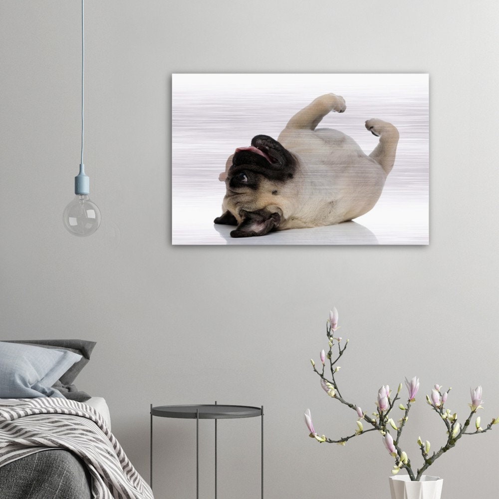 Tableau en Aluminium Brossé Carlin'love Carlin Decoration Pugs Art Wall Gift Dogs