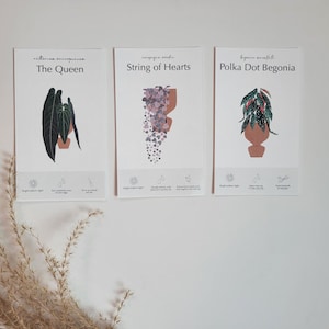 Cartes d'entretien des plantes